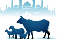 Hewan Qurban di PP. Al-Anwar