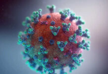 Virus in Fiqh Vision?