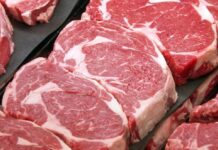 Daging Masa Depan Tanpa Harus Disembelih