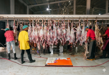 DAM HAJI DIBAYAR DI INDONESIA APAKAH SAH? KUPASAN TEGAS PERSPEKTIF EMPAT MADZHAB