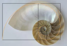 Golden Rasio : Bukti Keberadaan Sang Pencipta